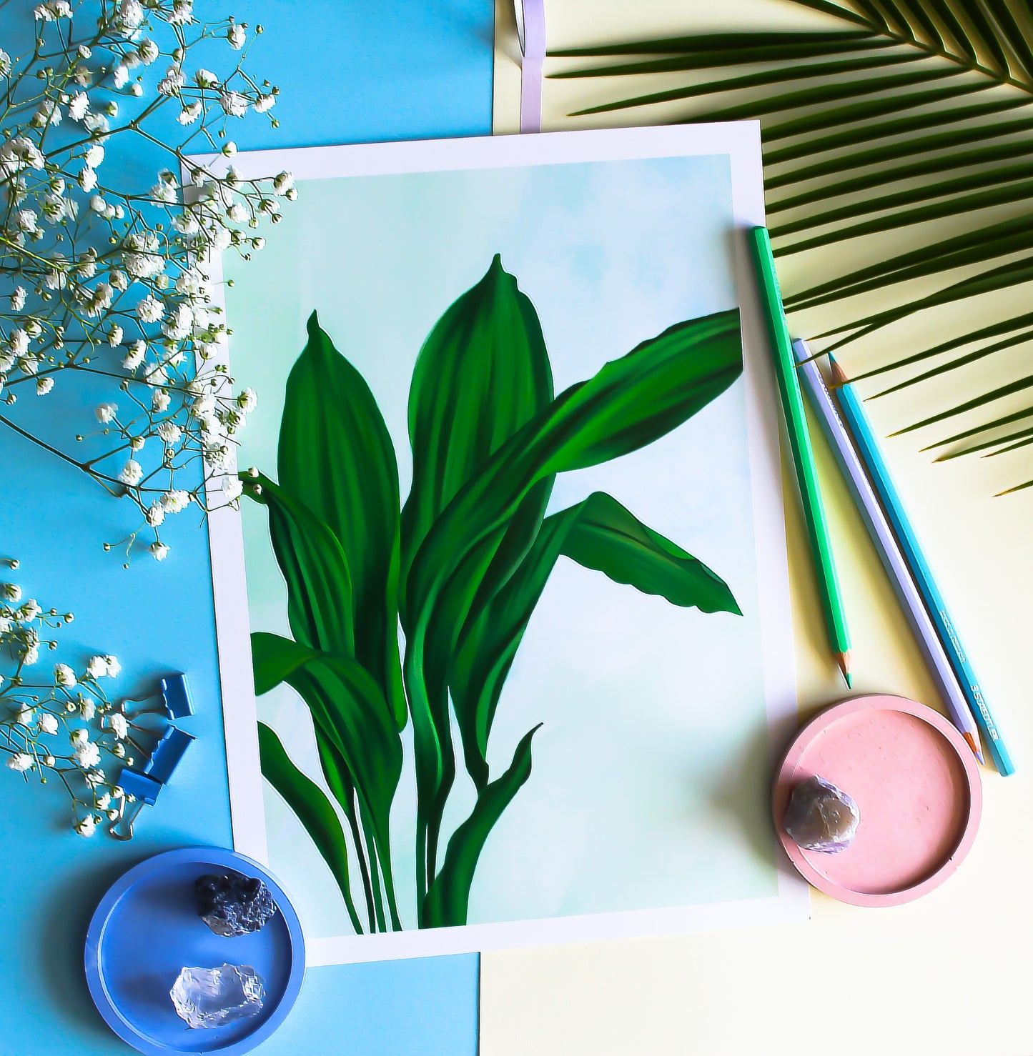 Iron Plant - Houseplants • Wall Art Print