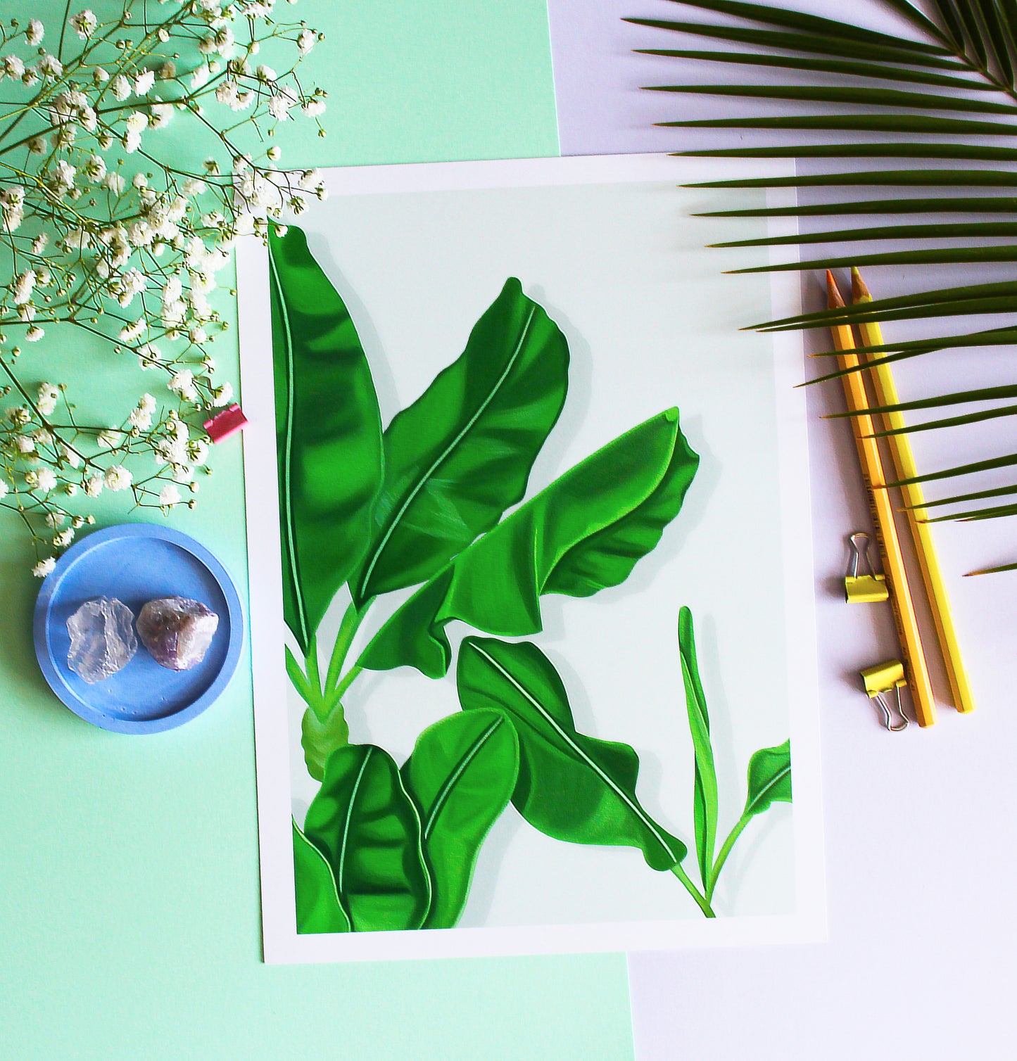 Tropical Banana Leaf • Wall Art Print