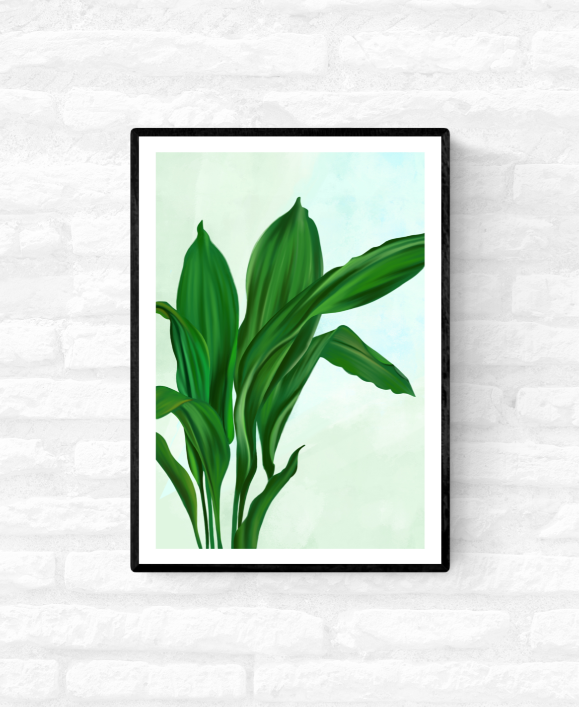 Iron Plant - Houseplants • Wall Art Print